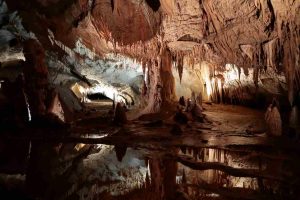 La scoperta di una nuova specie nelle grotte di Israele