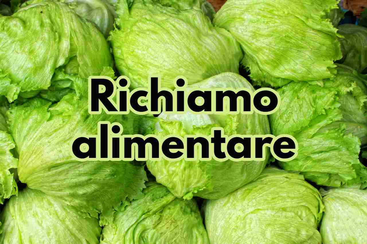 Richiamo alimentare insalata iceberg