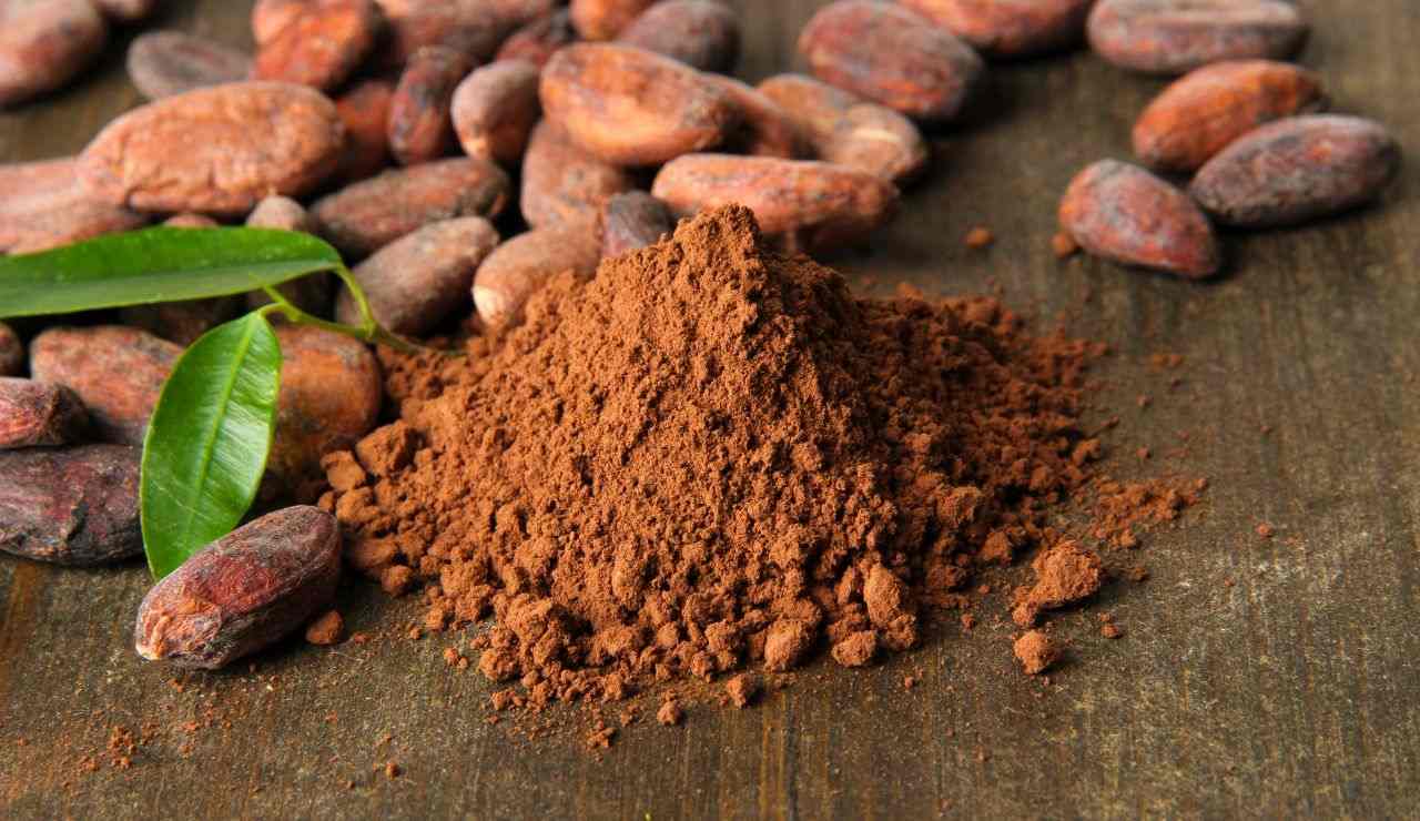 Mucchietto di cacao amaro in polvere 