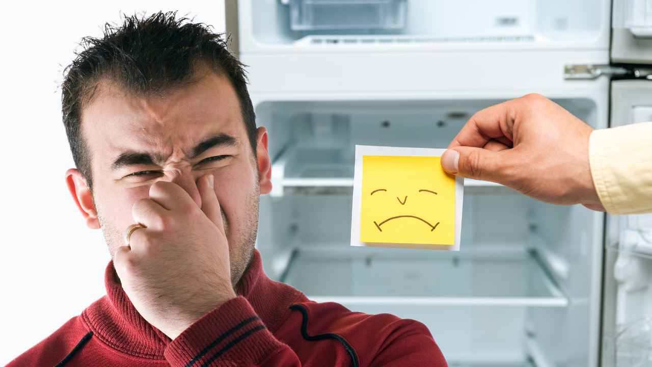 Stop ai cattivi odori e all'umidità nel frigo