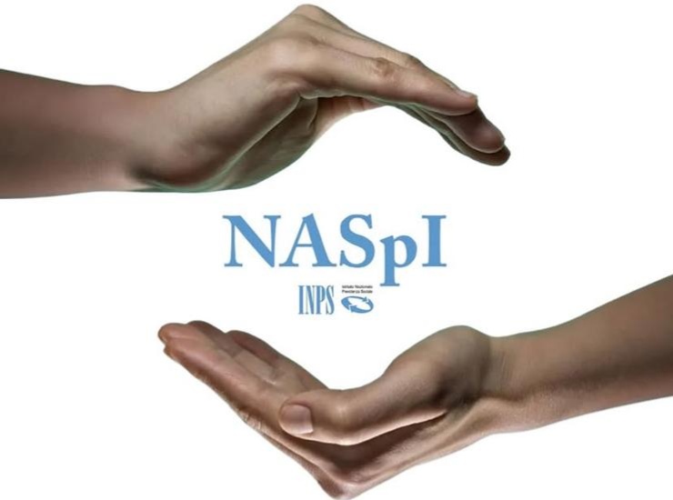 NASPI